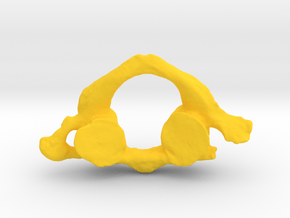 Atlas (SLCR407) in Yellow Processed Versatile Plastic