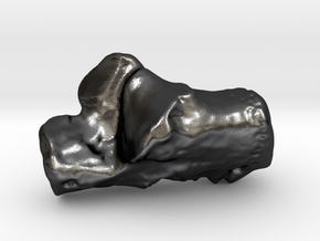 Human left calcaneus in Polished and Bronzed Black Steel
