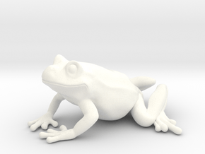 Smiling Frog in White Processed Versatile Plastic