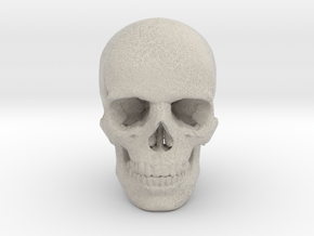 25mm 1in Human Skull Crane Schädel че́реп in Natural Sandstone