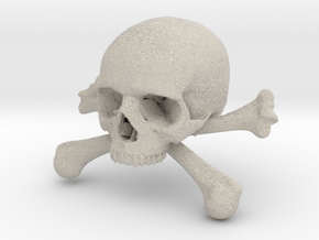 58mm 2.28in Skull & Bones Skull Crane Schädel in Natural Sandstone