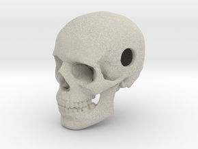 25mm 1in Bead Human Skull Pendant Crane Schädel in Natural Sandstone
