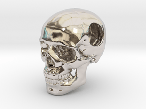 18mm .7in Bead Human Skull Crane Schädel че́реп in Rhodium Plated Brass