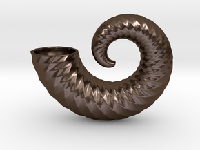 nautilus shell 6 inch in Polished Bronze Steel