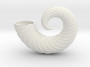 nautilus shell 6 inch in White Natural Versatile Plastic