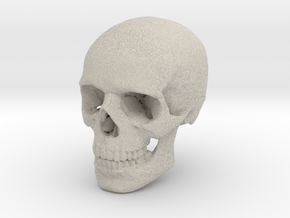Skull in Natural Sandstone