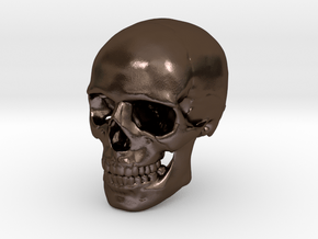 Skull in Polished Bronze Steel