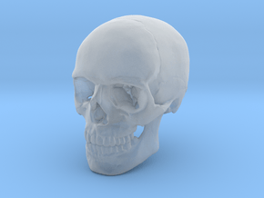 Skull in Smoothest Fine Detail Plastic