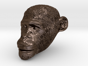 Head Chimp in Polished Bronze Steel