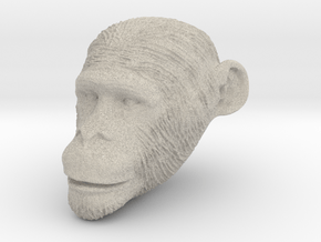 Head Chimp in Natural Sandstone