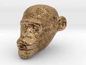 Head Chimp in Polished Brass