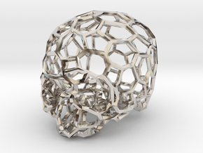 Voronoi Skull [1:0.5] in Platinum