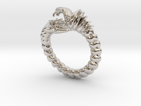 Viper Fish Ring  in Rhodium Plated Brass