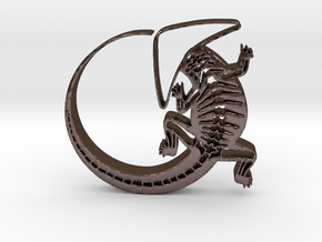 Osteomics [logo pendant] in Polished Bronze Steel