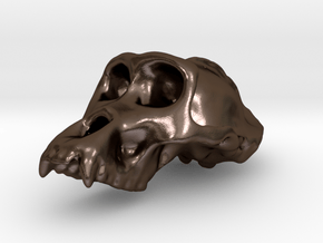 Gorila ♂ cranium in Polished Bronze Steel