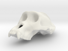Gorila ♂ cranium in White Natural Versatile Plastic