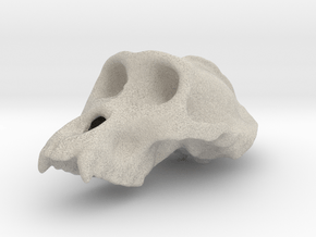 Gorila ♂ cranium in Natural Sandstone