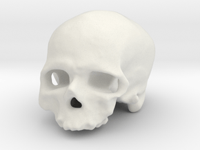 Old man of Crô-Magnon (cranium, real size) in White Natural Versatile Plastic