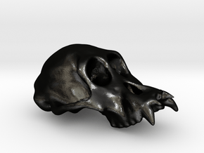 Orangutang ♂ cranium in Matte Black Steel