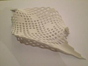 mesh tray  in White Natural Versatile Plastic