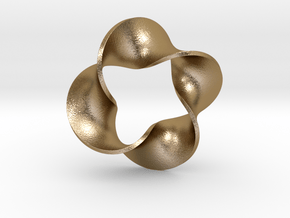 0159 Mobius strip (p=4, d=5cm) #007 in Polished Gold Steel
