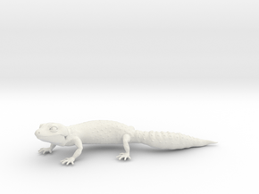 Leopard Gecko in White Natural Versatile Plastic