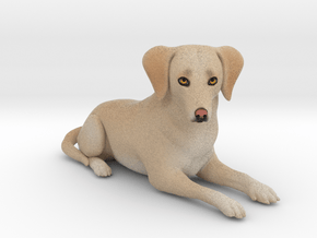 Custom Dog Figurine - Carson in Full Color Sandstone