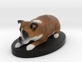 Custom Dog FIgurine - Mikey in Full Color Sandstone