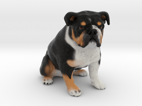 Custom Dog Figurine - Wilbur in Full Color Sandstone