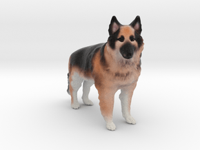 Custom Dog Figurine - Sasha in Full Color Sandstone