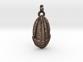 The Trilobite in Polished Bronze Steel