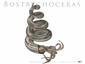 Bostrychoceras-8.5cm Hollow in Tan Fine Detail Plastic