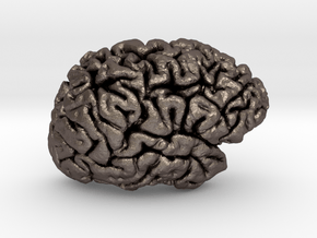 The right hemisphere of the brain - half scale in Polished Bronzed Silver Steel
