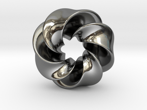 0169 8-Torus [2-2-2-1] (2.5cm) in Fine Detail Polished Silver