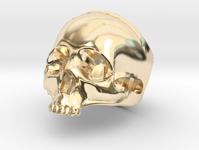 The "Ct Skull Ring" in 14k Gold Plated Brass