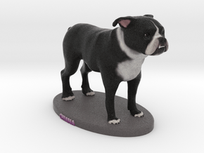 Custom Dog Figurine - Chiana in Full Color Sandstone