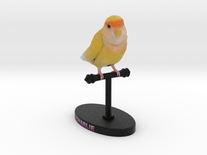 Custom Bird Figurine  - Charlie in Full Color Sandstone