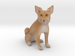 Custom Dog Figurine - Bella in Full Color Sandstone