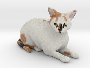 Custom Cat Figurine - CC in Full Color Sandstone
