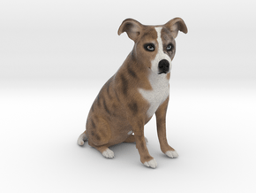Custom Dog Figurine - Coco in Full Color Sandstone