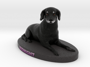 Custom Dog Figurine - Midnight in Full Color Sandstone