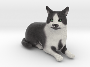 Custom Cat FIgurine - Frank in Full Color Sandstone