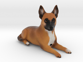 Custom Dog Figurine - G in Full Color Sandstone