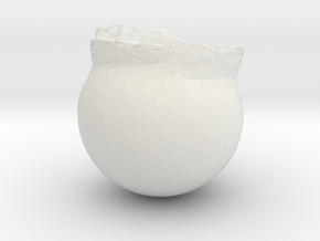 11576 in White Natural Versatile Plastic