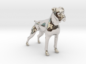 Brindle Boxer in Rhodium Plated Brass