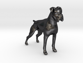 Brindle Boxer in Polished and Bronzed Black Steel