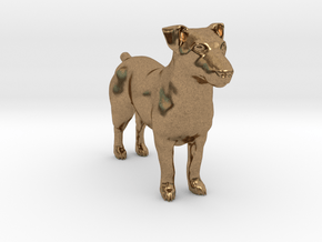Jack Russell Terrier - Small in Natural Brass