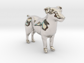 Standing Jack Russell Terrier in Rhodium Plated Brass