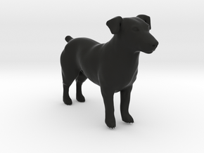 Standing Jack Russell Terrier in Black Natural Versatile Plastic