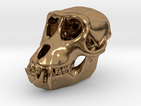 Macaque Rhesus Monkey Skull Pendant  in Natural Brass